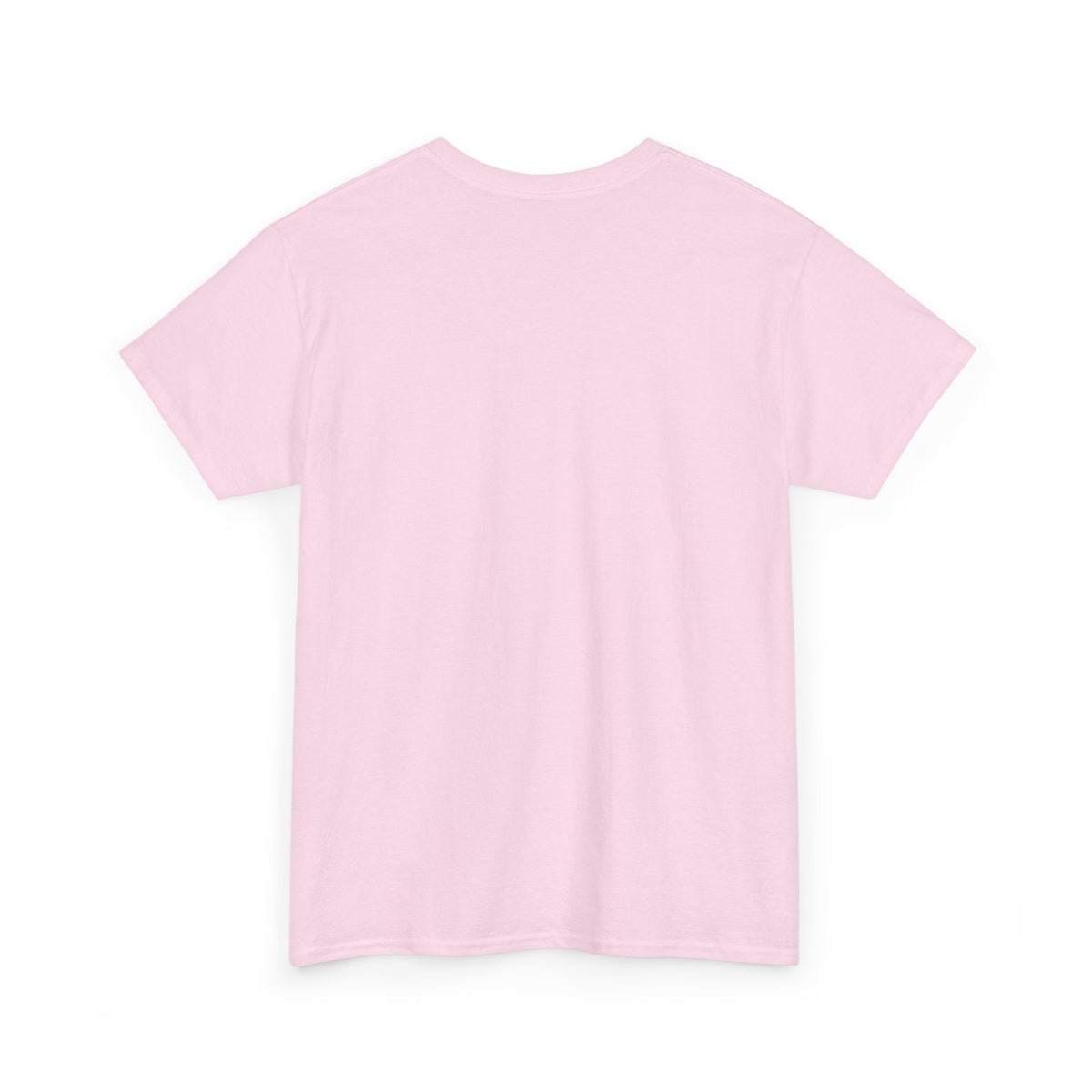 Budget T-Shirt for Adults