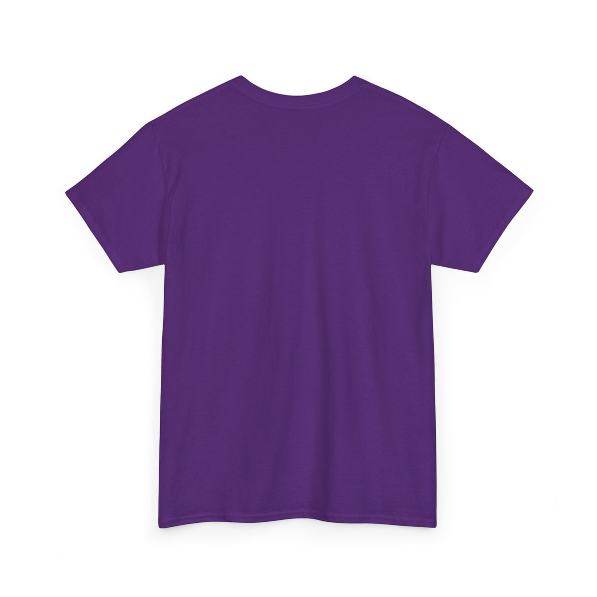 Budget T-Shirt for Adults