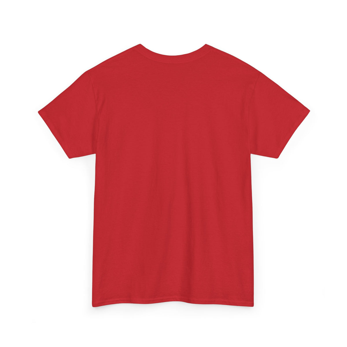 Budget T-Shirt for Adults