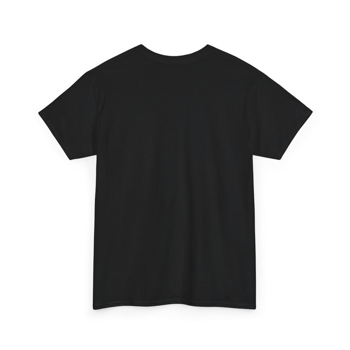 Budget T-Shirt for Adults